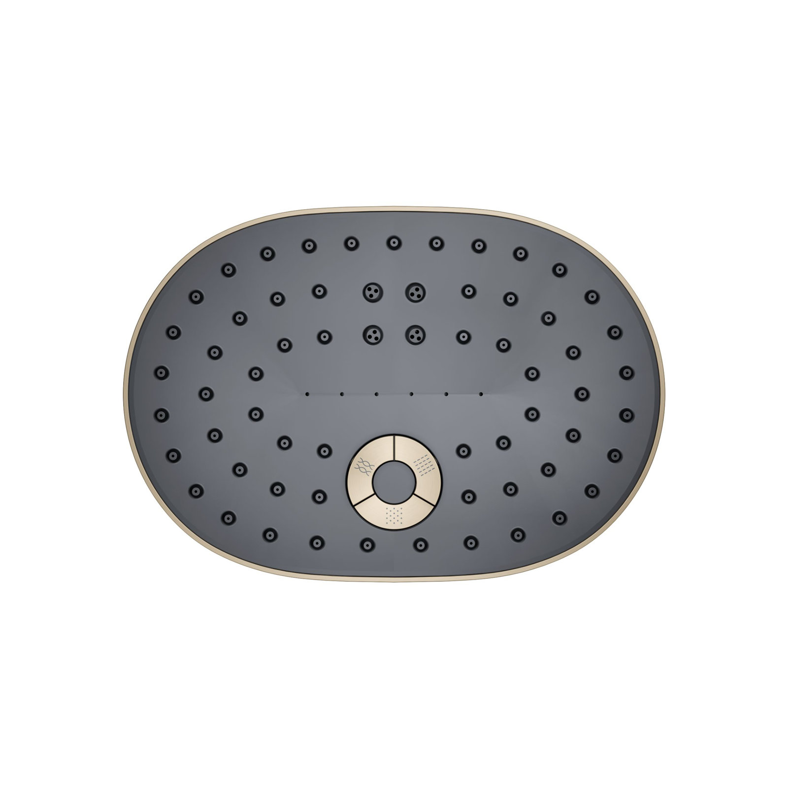 Statement 2.5 GPM Oval Multifunction Showerhead, Vibrant Brushed Bronze