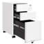 30cm Wide 3 -Drawer Mobile File Cabinet