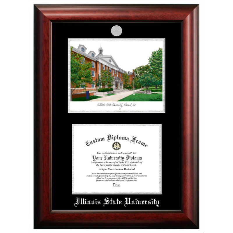 Illinois State Picture Frame