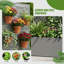 Metal Planter Box with Trellis without Wheels-741677728