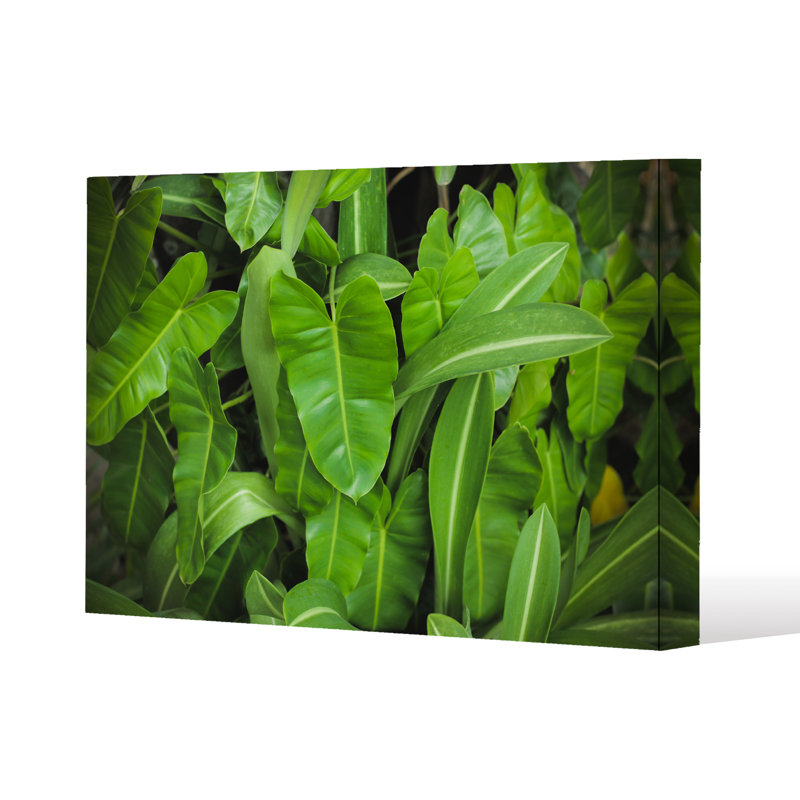 No Title by Andrew Lee - Wrapped Canvas Print, 61cm H x 91cm W x 4cm D