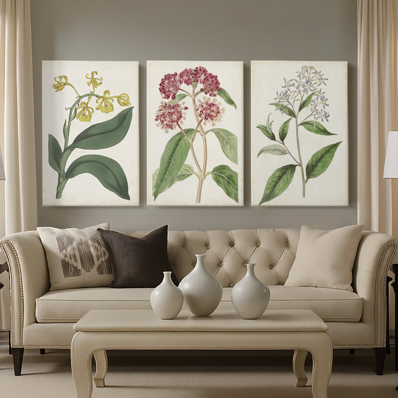 Antique Botanical Collection X - Toile tendue avec châssis sur mesure - 3 pièces, H 27 po x l 54 po