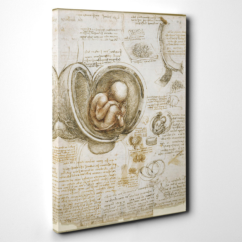 Leonardo Da Vinci - Wrapped Canvas Painting, 60cm H x 40cm W