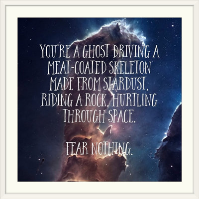 " Fear Nothing - Sentiment "