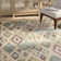Braswell Performance Ikat Rug