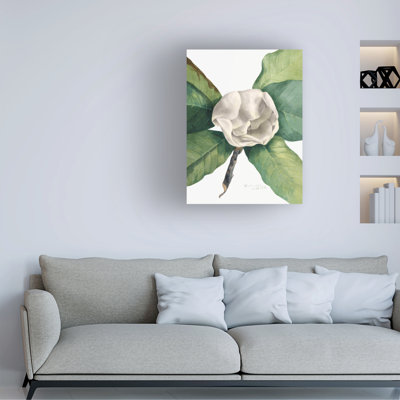Bolog Mary Vaux Walcott Southern Magnolia Canvas Art