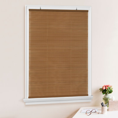 Semi Sheer Vinyl Roll-Up Shade