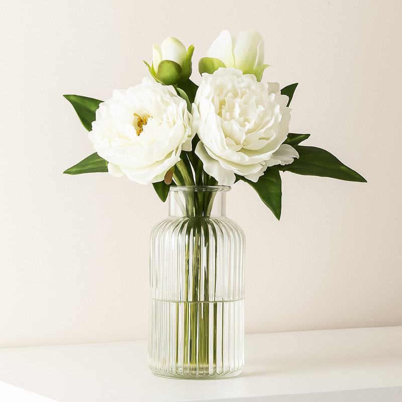 Ensemble de pivoines florales, Blanc