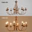 Pelchat 8 - Light Dimmable Classic / Traditional Chandelier