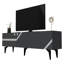 Élégant meuble télé anthracite et argent 59,1 po x 19,3 po x 11,8 po | 100% panneau de particules enduit de mélamine, épaisseur: 0,7 pouce | Conception moderne pour le salon, durable et facile à nettoyer, amplement d'espace de rangement-1431286056
