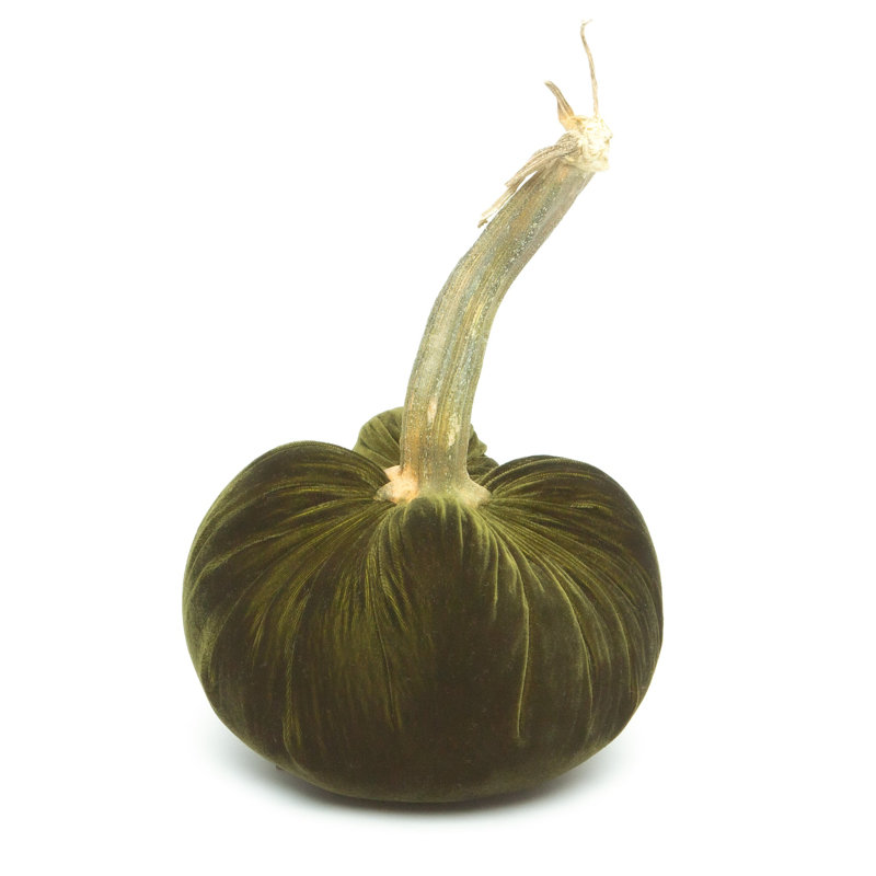 Moss Silk Velvet Pumpkin, 10" H x 8" W x 8" D