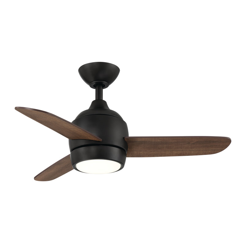 Avalanna 36'' Ceiling Fan with LED Lights, Matte Black/Espresso
