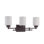 3 - Light Dimmable Vanity Light