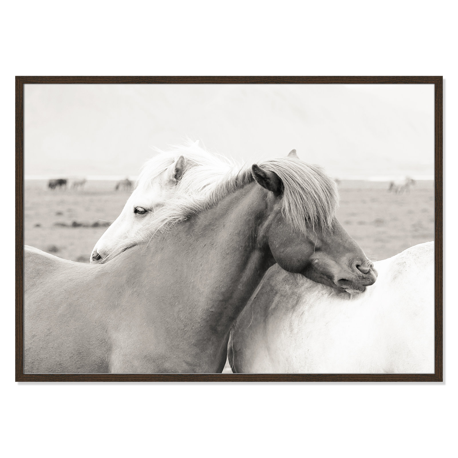 Melanie "Icelandic Meadow Horses" Print, 29.5" H x 41.5" W x 0.75" D, Walnut Wood Grain Framed