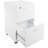 Ebern Designs File Cabinet - 2-Drawer Cabinet with Lock and Deep Drawer Storage - Rolling Filing Organizer for Under The Desk, Home, or Office-416611534