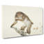 Monkey by Kansetsu Hashimoto - Wrapped Canvas-55363090