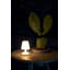Edison La Surprise Wireless Table Lamp