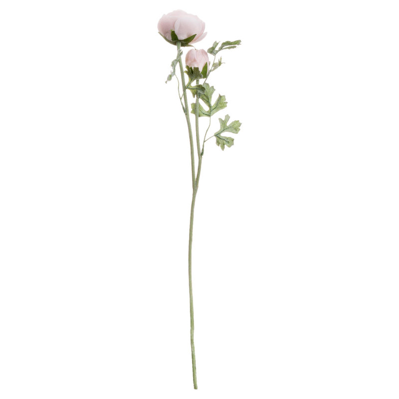 Anastasija Arrangement, Pink