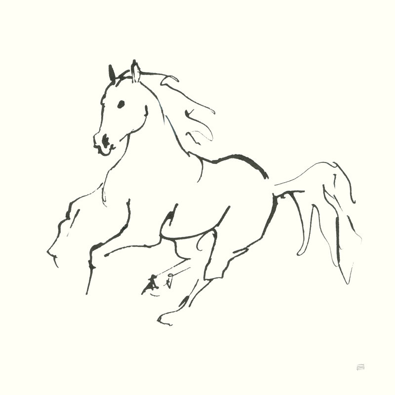 Line Horse III by Chris Paschke - Wrapped Canvas Print, 51cm H x 51cm W