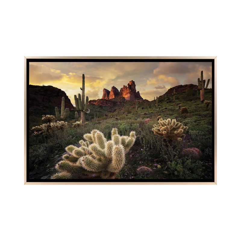 Arizona Desert Sunset, H 32 po x l 48 po x P 1,5 po, Toile encadrée champagne