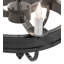 Hasnain 6 - Light Chandelier