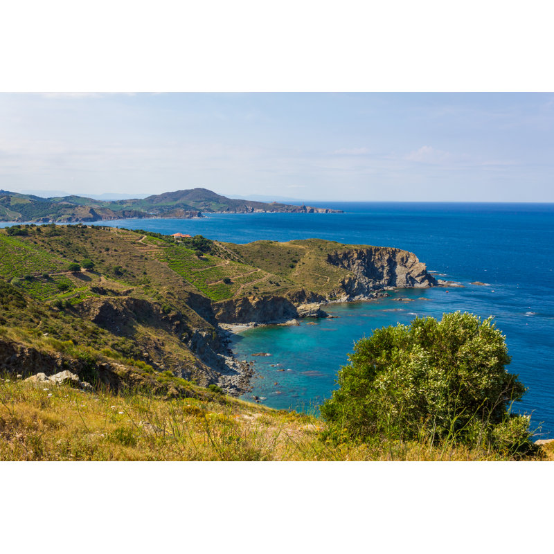 Cap L'Abeile by Proformabooks - Wrapped Canvas Print, 20cm H x 30cm W