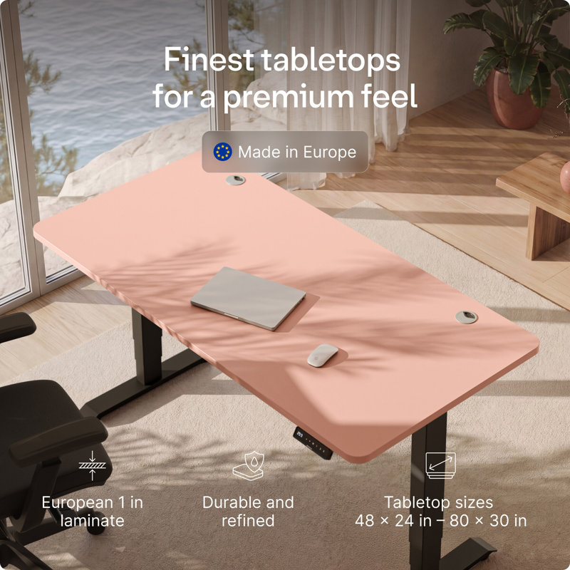 Bureau assis-debout électrique HomePro – Bureau réglable en hauteur à double moteur avec 3 positions mémorisables, chargement USB et USB-C, système anticollision