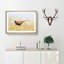 A Pheasant Bird - 1 Piece Picture Frame Rectangle Painting-56627963-56627964