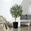 Olive artificielle George avec pot décoratif, faux olivier résistant aux rayons UV avec tronc naturel-1799478852-1799478853