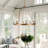 Natividad 10-Light Candle Style Wagon Wheel Chandelier-819235690-891258737