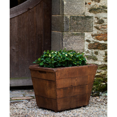 Witwicki Planter