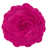 Fuchsia is out of stock