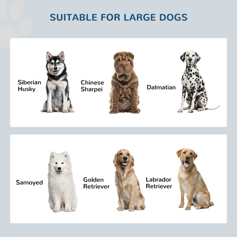 Gray Elevated Dog Feeder with Stainless Steel Bowls and Storage
