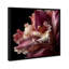 Velvet Labellum Print by Oliver Gal-819406402-819406415