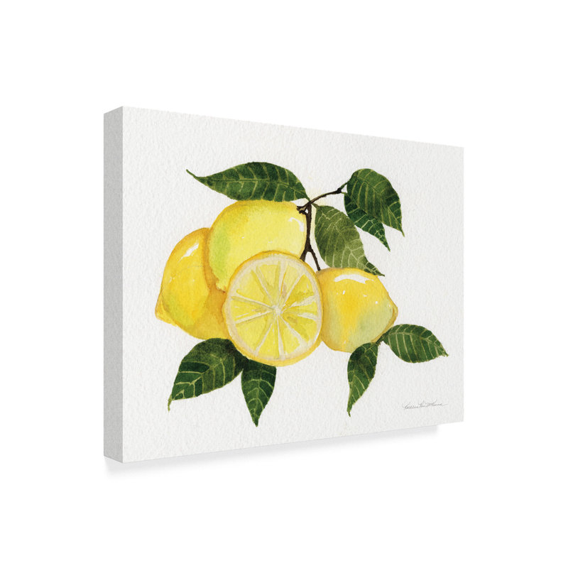Aylei «Citrus Garden VI», impression sur toile tendue, H 24 po x l 32 po x P 2 po