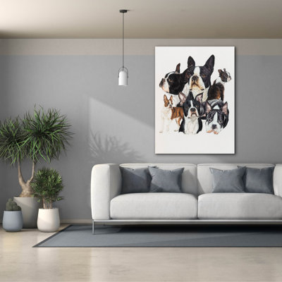 " Boston Terrier " by Barbara Keith