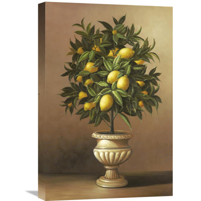 " Potted Lemon Tree " by Welby