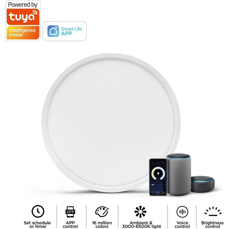 LED Flush Mount