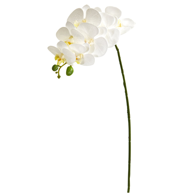 Tige de orchidées artificielle, Blanc