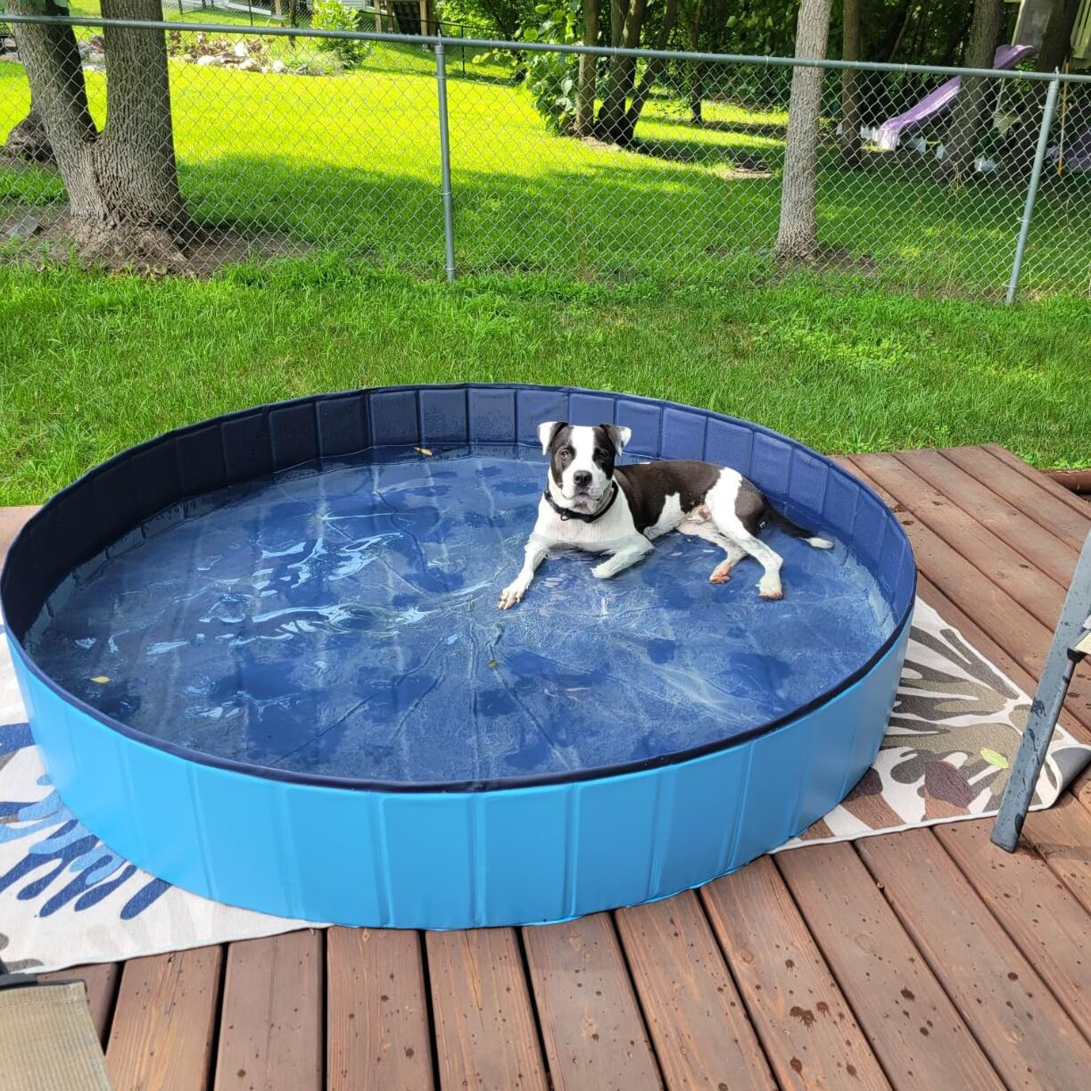 Outdoor Pool HTCM Foldable Dog Pool, Collapsible Hard Plastic Dog