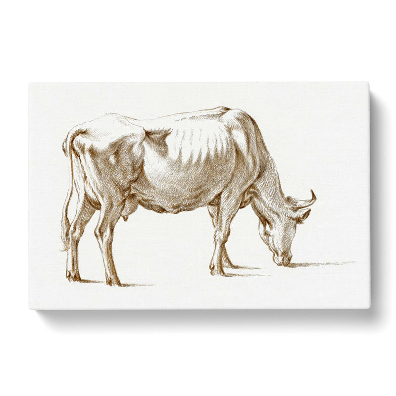 Study of a Cow by Jean Bernard - Wrapped Canvas Drawing - Wrapped Canvas, 50cm H x 76cm W x 3cm D