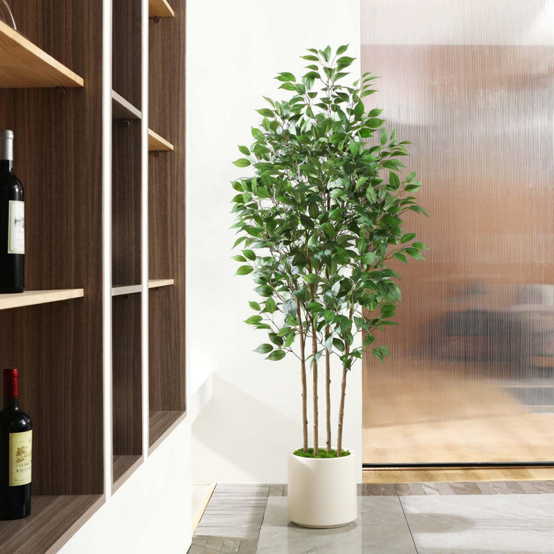 Anietra 180cm Faux Tree in Planter