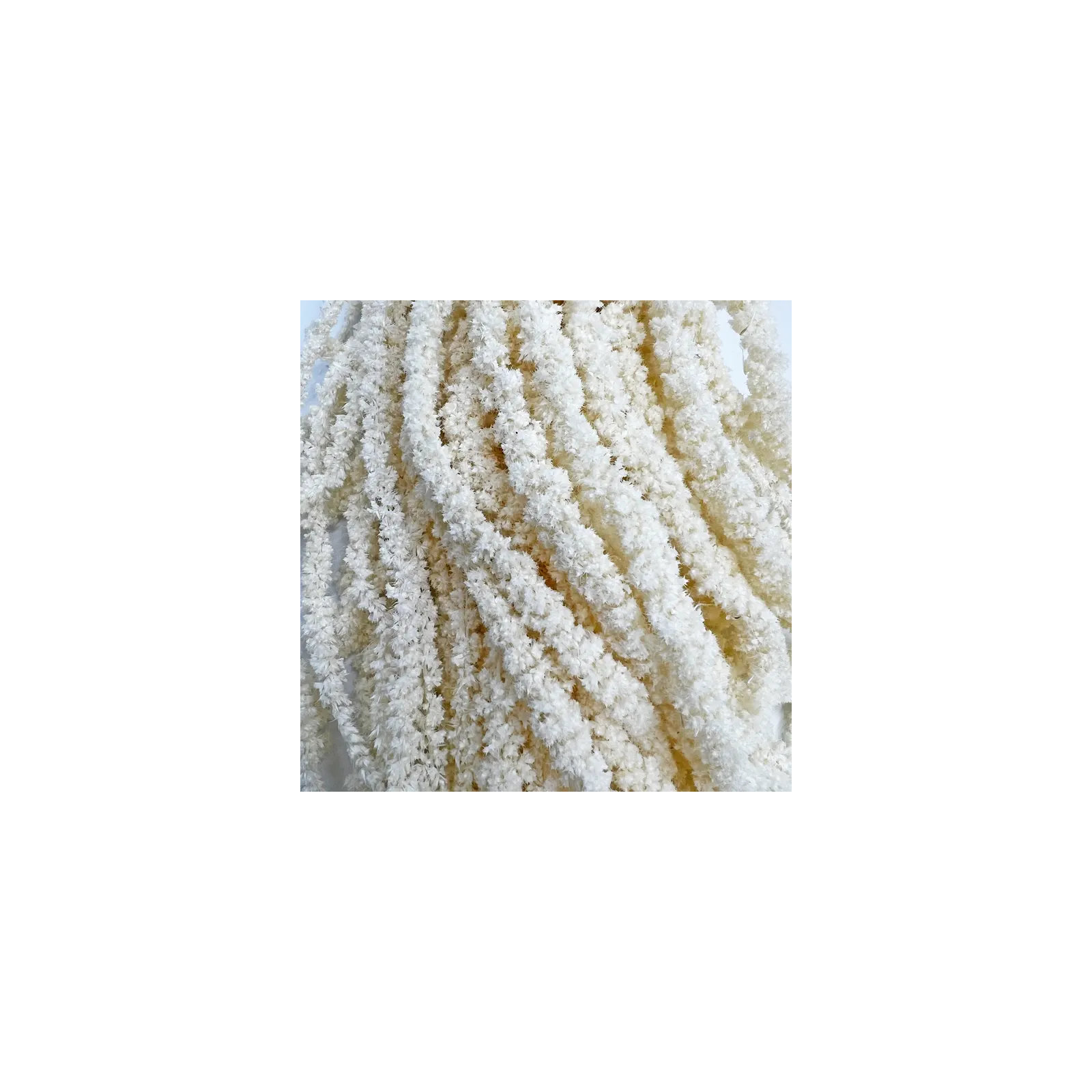 Bundle of 4 Dried Preserved Amaranth Bouquet 21" in White, White