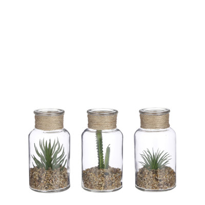 Faux Succulents 3 Assorted Set - All different Succulents