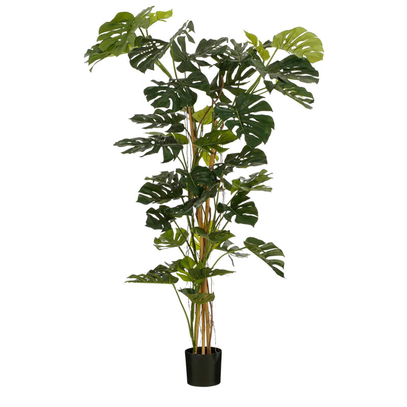 Artificial Christmas Tree, 6.23ft H x 4.76ft W x 4.76ft D