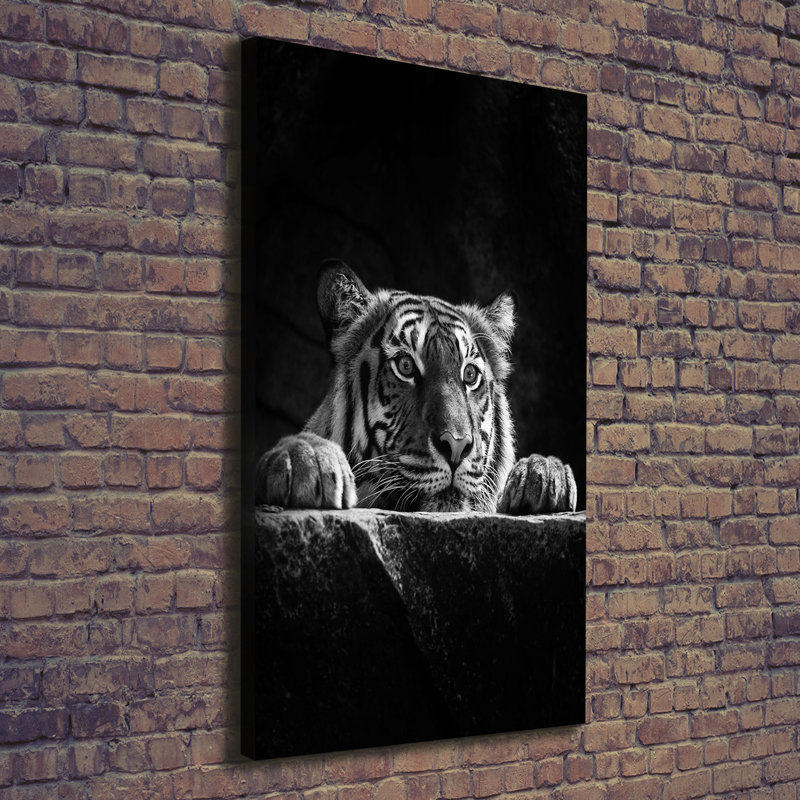 Tiger - Wrapped Canvas Print