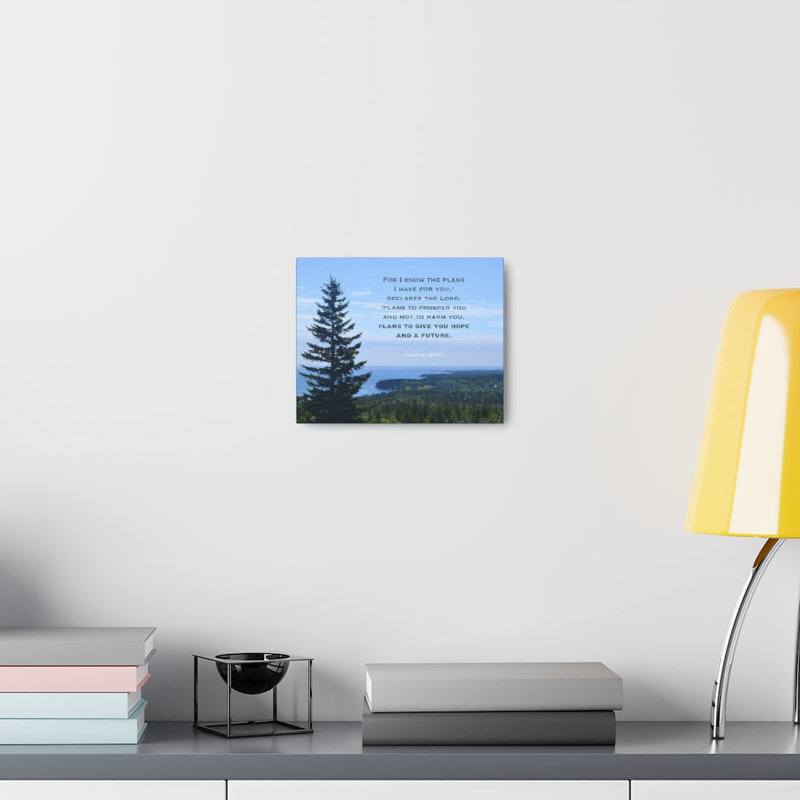 Declares The Lord Jeremiah 29:11 - Wrapped Canvas Print, 30cm H x 41cm W