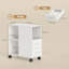 Cabinet Office Storage Cabinet