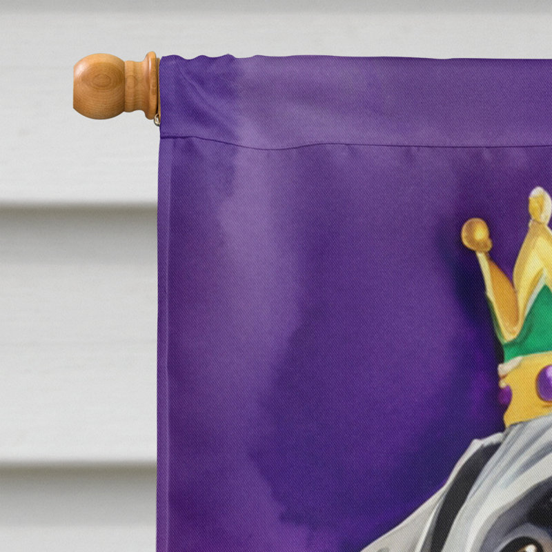 Double Sided 40'' H x 28'' W Polyester Mardi Gras House Flag