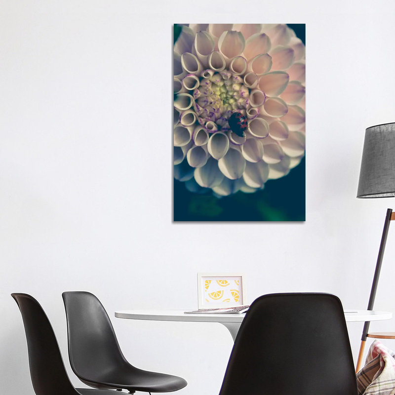 Dahlia, Blush by Olivia Joy StClaire - Wrapped Canvas Gallery-Wrapped Canvas Giclée, 101.6 cm H x 66.04 cm W x 3.175 cm D